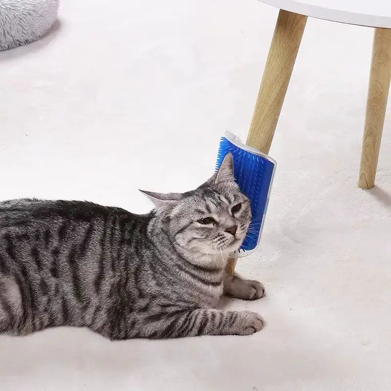 🐱 Selbstreinigende Katzen-Eckbürste mit Massagefunktion – inkl. Katzenminze