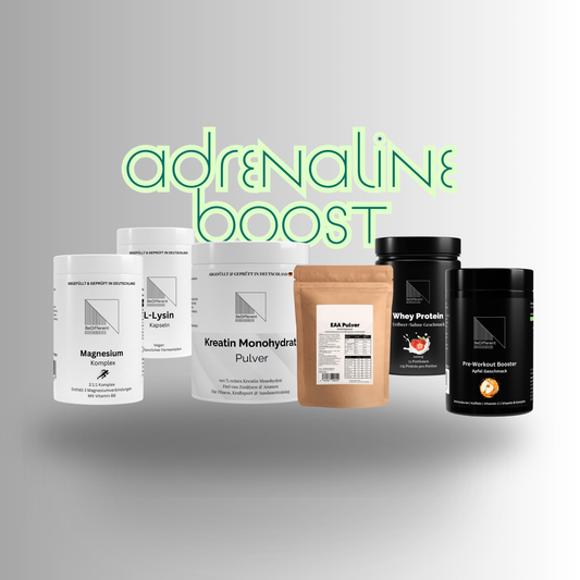 🔥 Launch Special: 🏆 ULTRA PERFORMANCE BUNDLE – Kraft. Fokus. Recovery.